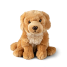 501362c088cd6cad144298b18ceced95.webp