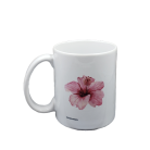 a04528396fbf74094568a760cc0e12f3.png
