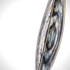 4d51944a13deed02e3a16241e7212370.png