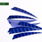 c57303cb6041dceaba3c809878e5e646.png